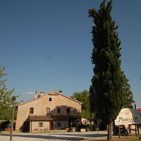 Molenda B&B Città di Castello Exteriör bild